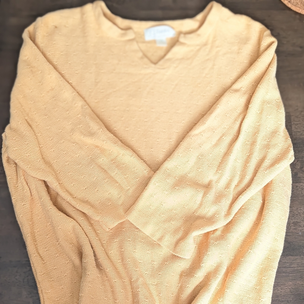 CJ Banks Soft Cream V-Neck Sweater